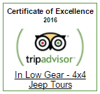 Tripadvisor Certificate of Excellence for In Low Gear 