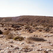 The Large Crater Jeep Tours. טיולי ג'יפים המכתש הגדול