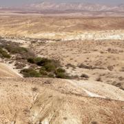 Gallery: Derech HaAtarim Jeep Tours. שחזור מסע בני ישראל בין קדש ברנע לירוחם 