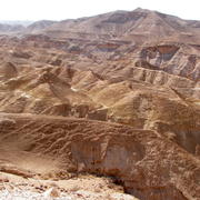 Off road 4x4 tours: Negev desert, Nitsana, Kadesh Barnea to Tel Arad . טיולי ג'יפים: מניצנה לתל ערד דרך קדש ברנע, בארותיים, שבטה, נחל ציפורים שדה בוקר