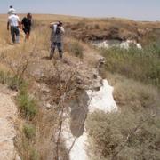 Off road 4x4 tours: Nachal Shikma, Pora reserve and Bitronot Ruchama.טיולי ג'יפים: נחל שקמה, בתרונות רוחמה ושמורת פורה 