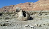 Dead Sea hot springs, Einot Kedem south, Adventure Jeep Tours.