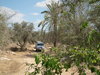 Judea farm-land, Anava ruins jeep tour טיולי ג'יפים שפלת יהודה החקלאית