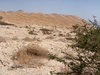 Masada Ein Gedi Adventure Jeep Tours
